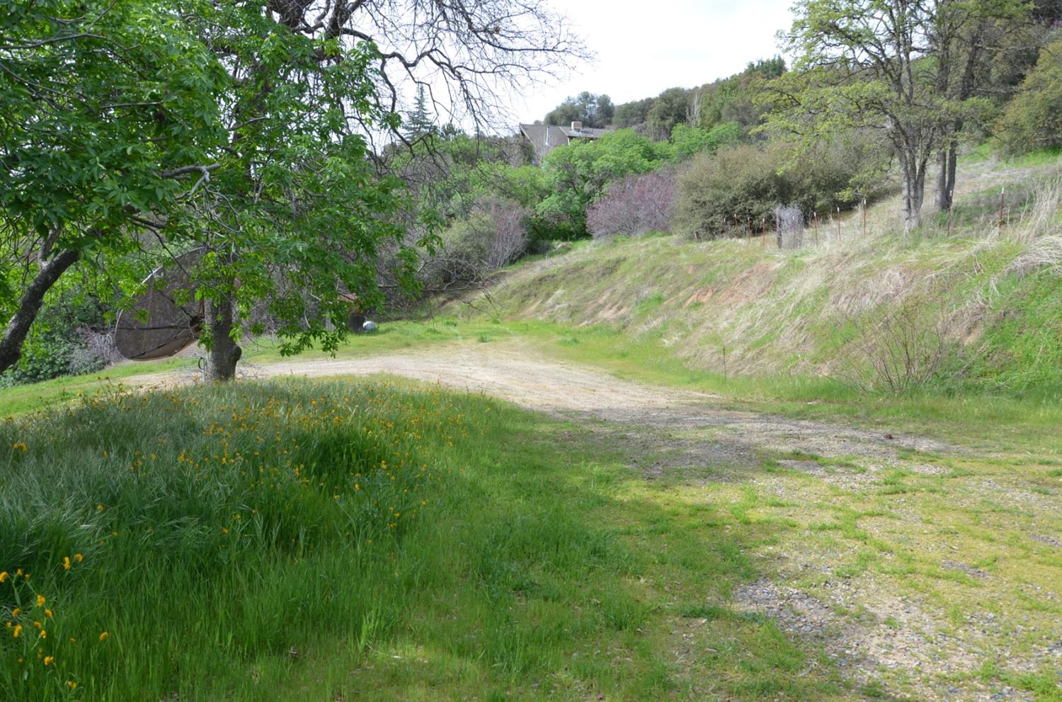 51065 Whitaker Forest Road Badger, CA 93603 - Photo 2 of 66 Gallery Image 2
