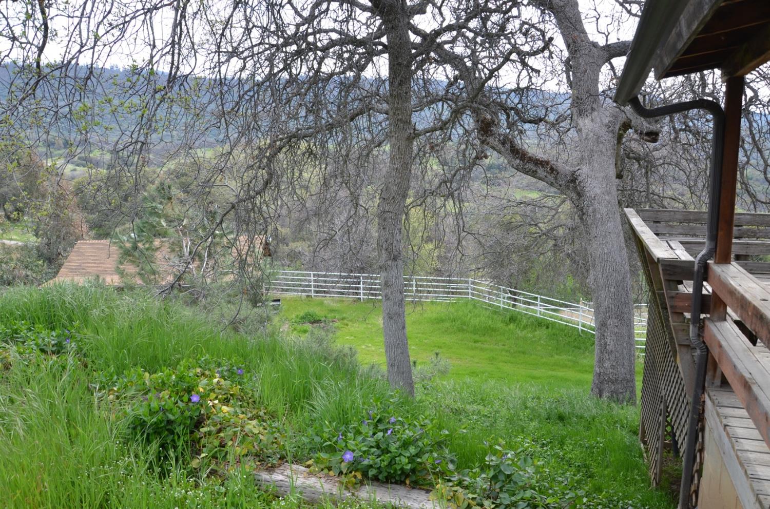 51065 Whitaker Forest Road Badger, CA 93603 - Photo 22 of 66 Gallery Image 22