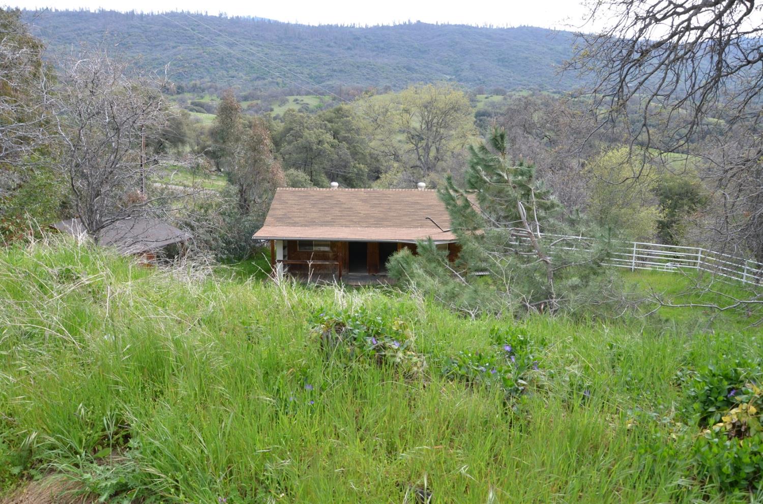 51065 Whitaker Forest Road Badger, CA 93603 - Photo 23 of 66 Gallery Image 23