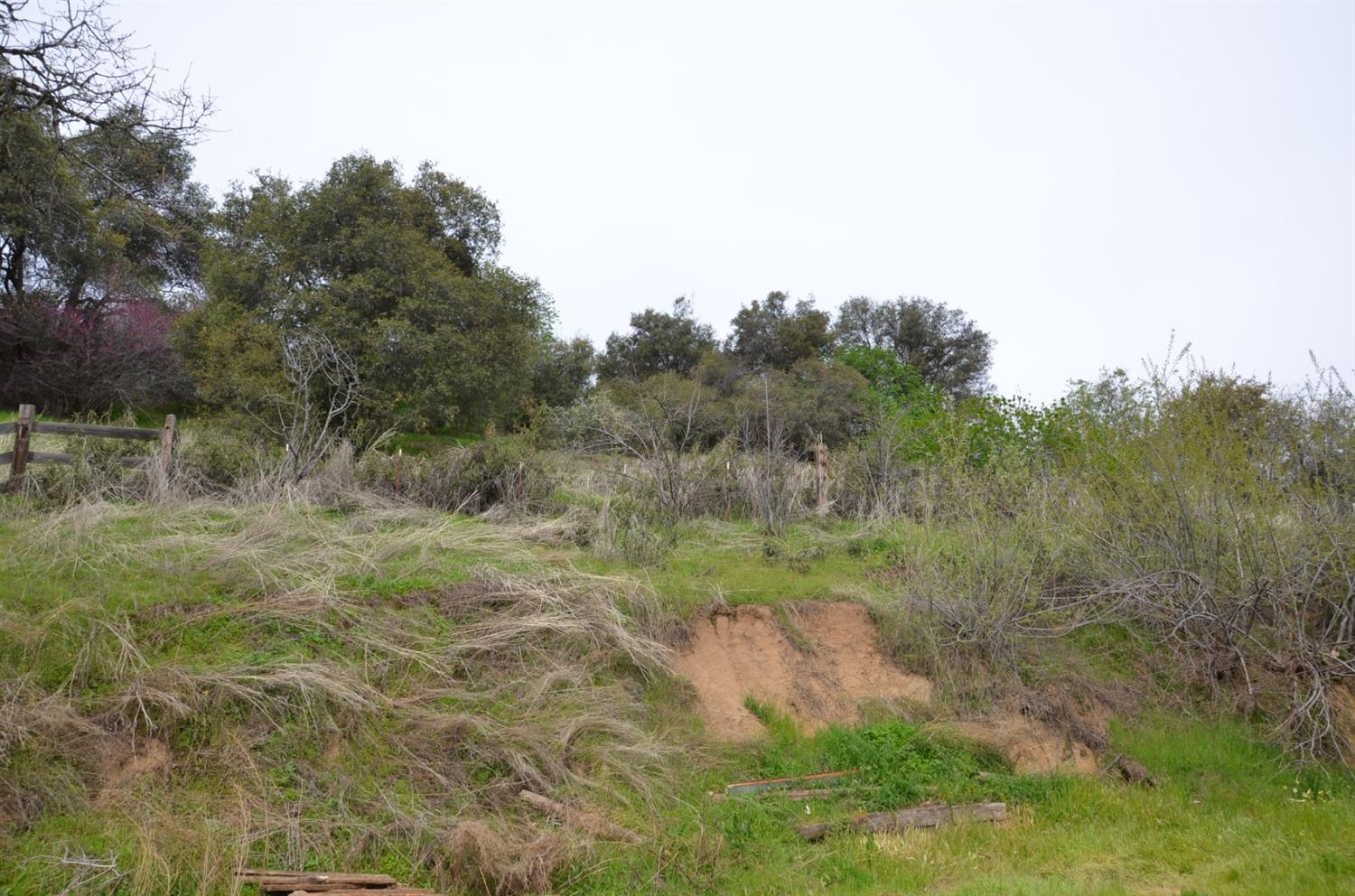 51065 Whitaker Forest Road Badger, CA 93603 - Photo 43 of 66 Gallery Image 43