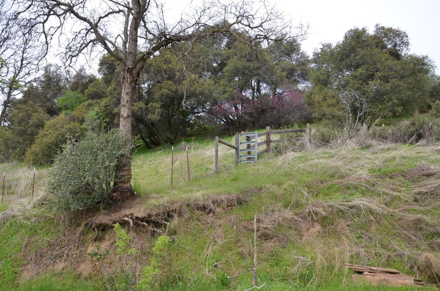 51065 Whitaker Forest Road Badger, CA 93603 - Photo 44 of 66 Gallery Image 44