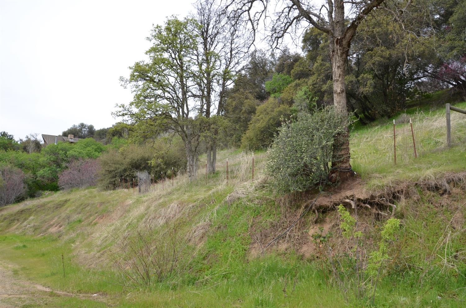 51065 Whitaker Forest Road Badger, CA 93603 - Photo 45 of 66 Gallery Image 45