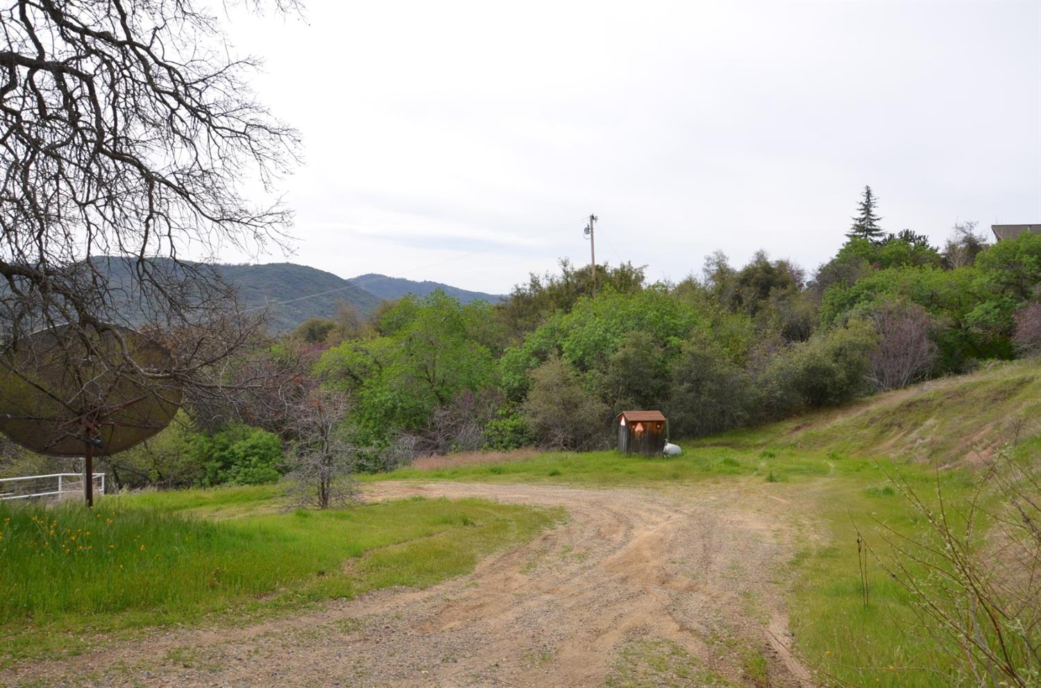 51065 Whitaker Forest Road Badger, CA 93603 - Photo 47 of 66 Gallery Image 47