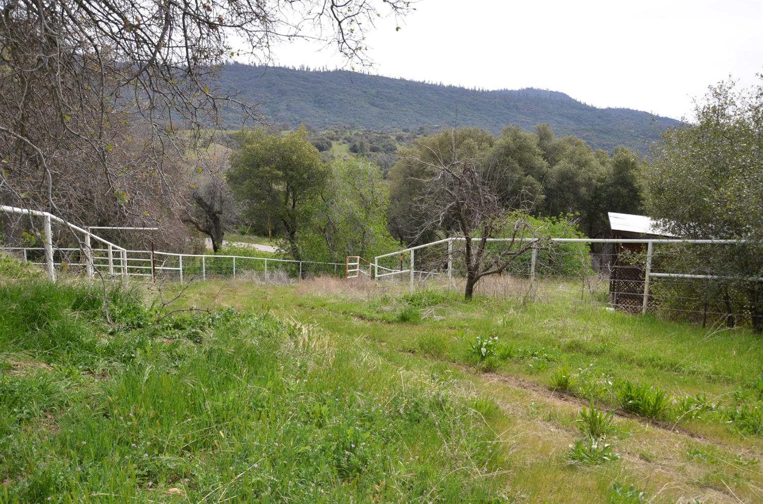 51065 Whitaker Forest Road Badger, CA 93603 - Photo 57 of 66 Gallery Image 57