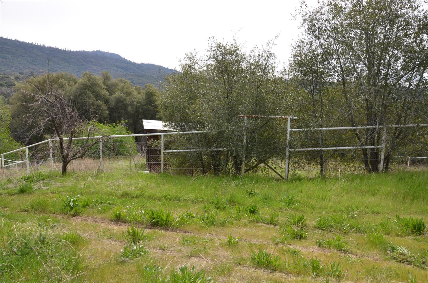 51065 Whitaker Forest Road Badger, CA 93603 - Photo 58 of 66 Gallery Image 58