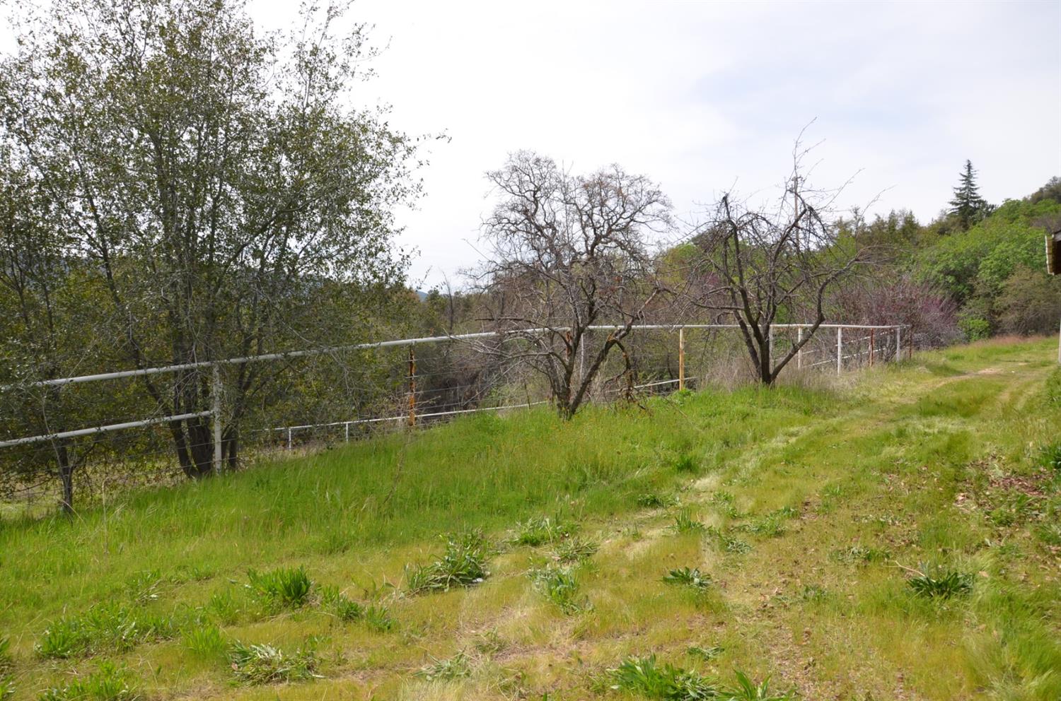 51065 Whitaker Forest Road Badger, CA 93603 - Photo 59 of 66 Gallery Image 59