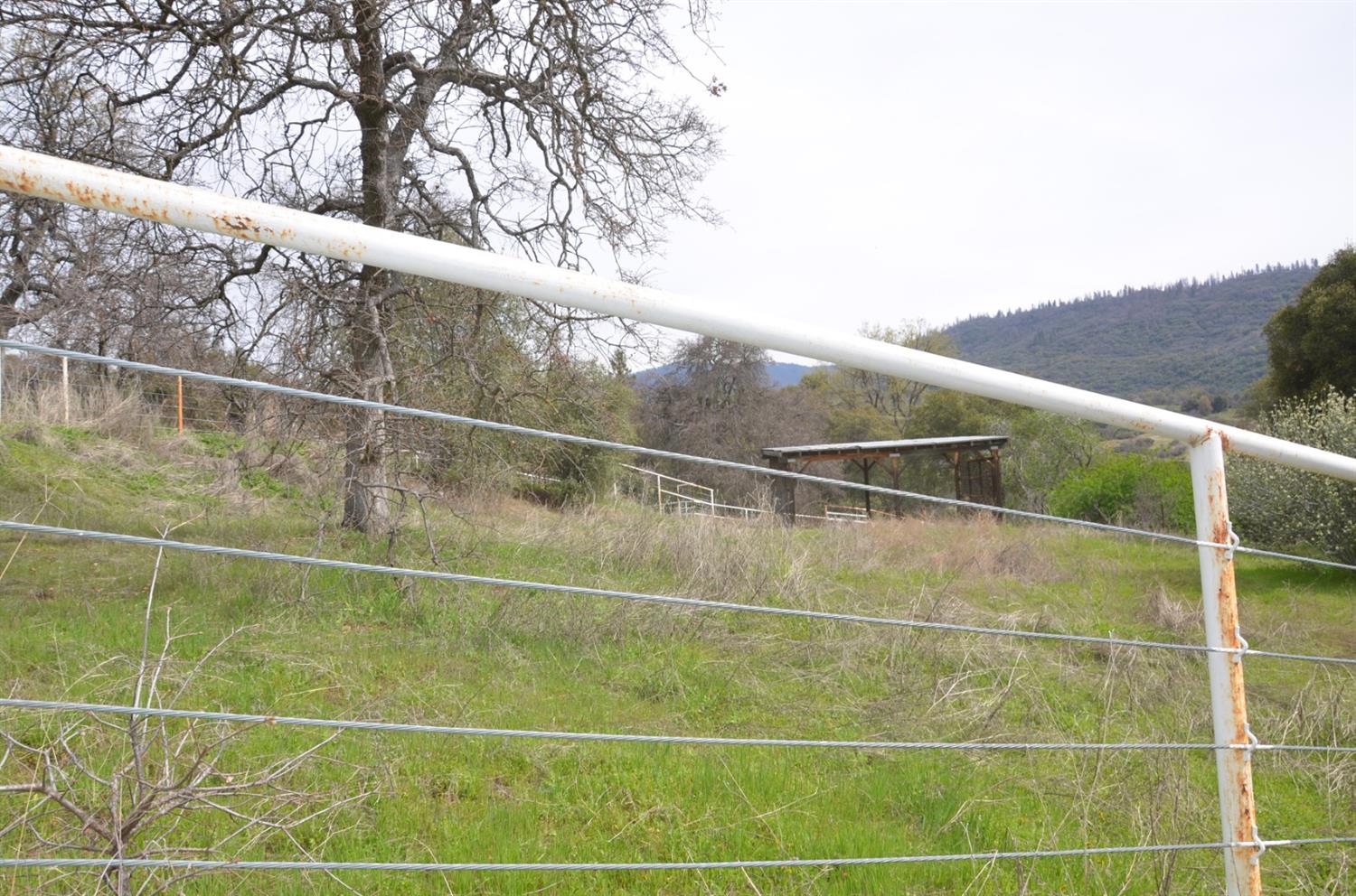 51065 Whitaker Forest Road Badger, CA 93603 - Photo 62 of 66 Gallery Image 62