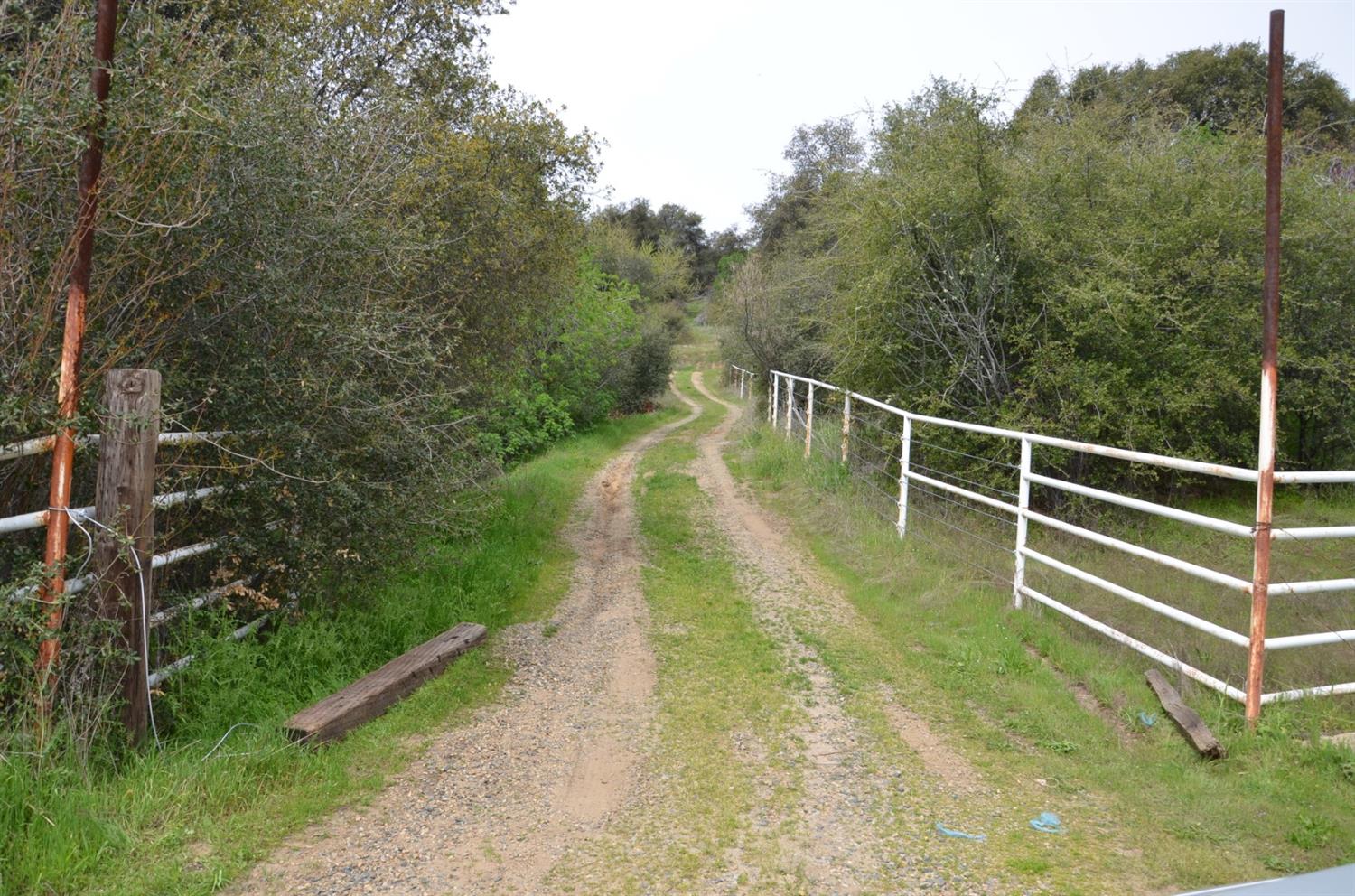 51065 Whitaker Forest Road Badger, CA 93603 - Photo 63 of 66 Gallery Image 63
