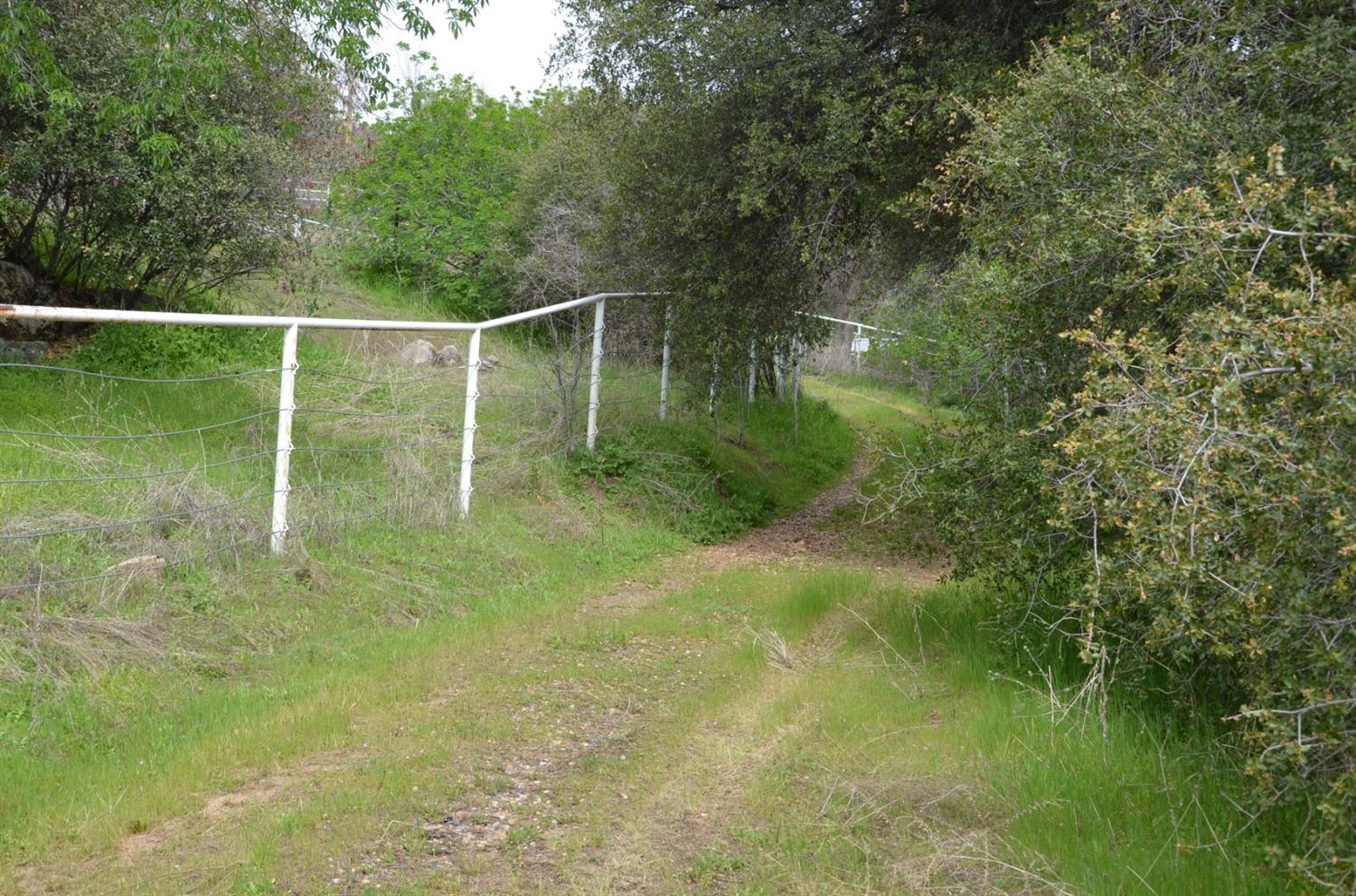 51065 Whitaker Forest Road Badger, CA 93603 - Photo 66 of 66 Gallery Image 66