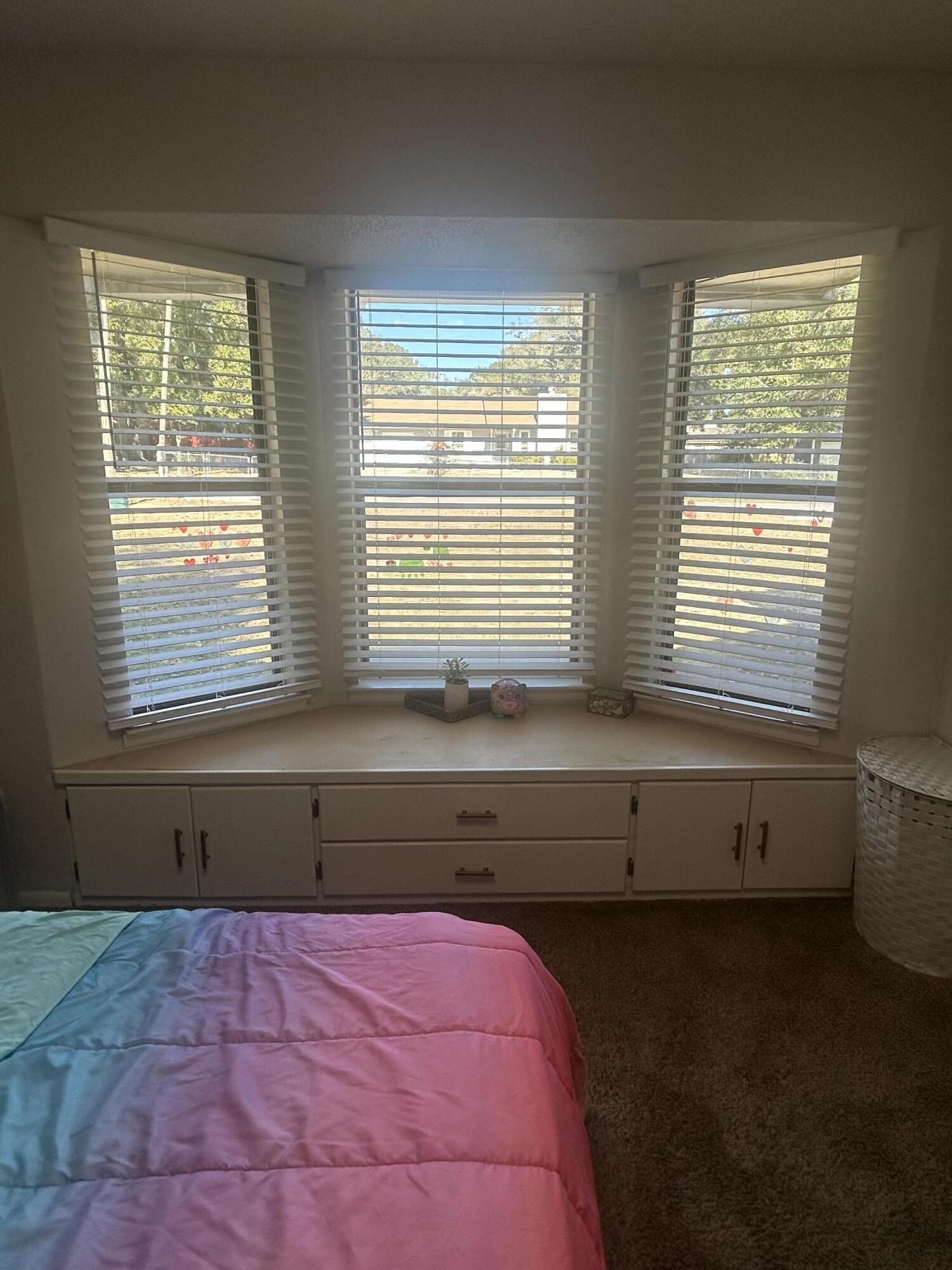 309 Springwood Circle Crestview, FL 32536 - Photo 26 of 53 2DBA2B66-2C29-4CB9-88C0-924999F5FF05