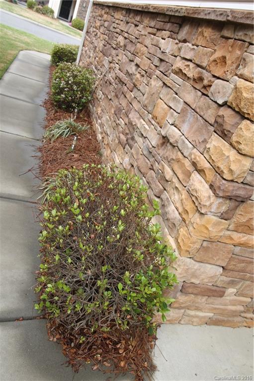 242 River Clay Road, Unit UNTI 202 Fort Mill, SC 29708 - Photo 3 of 18 a picture of a yard