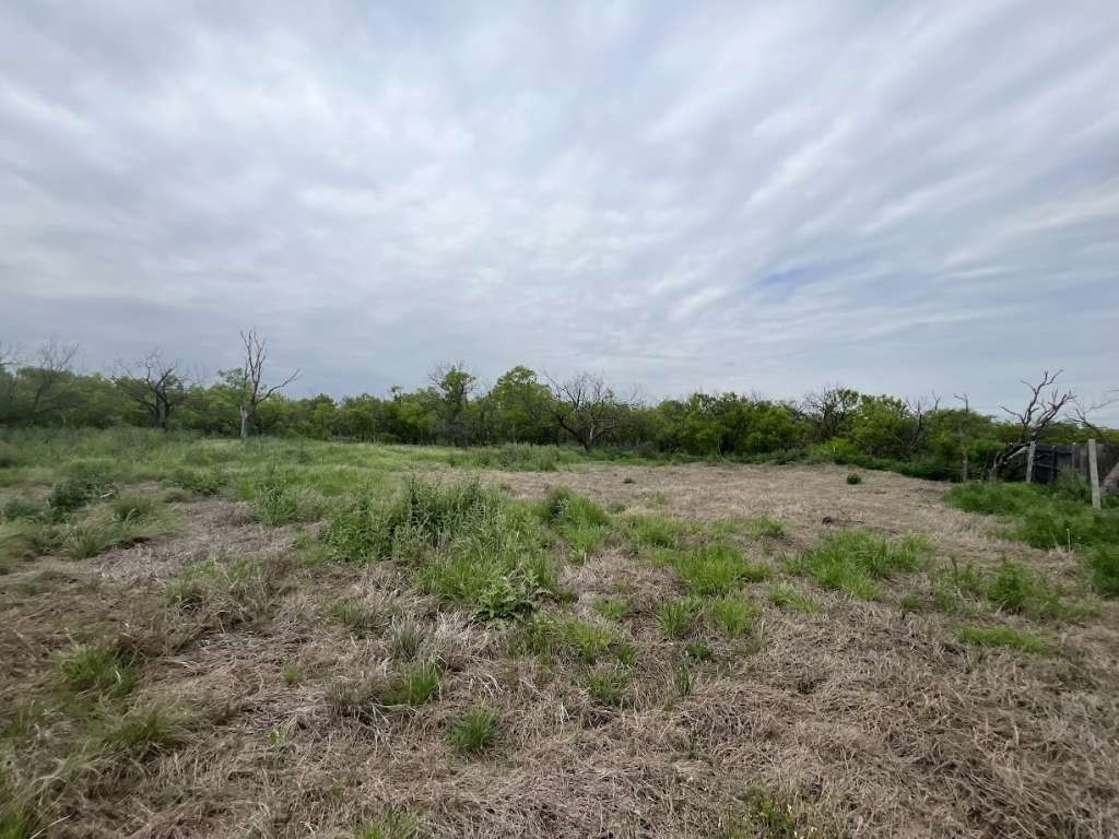 12942 McFall Road Iowa Park, TX 76367 - Photo 5 of 5 a view of a field of grass and trees