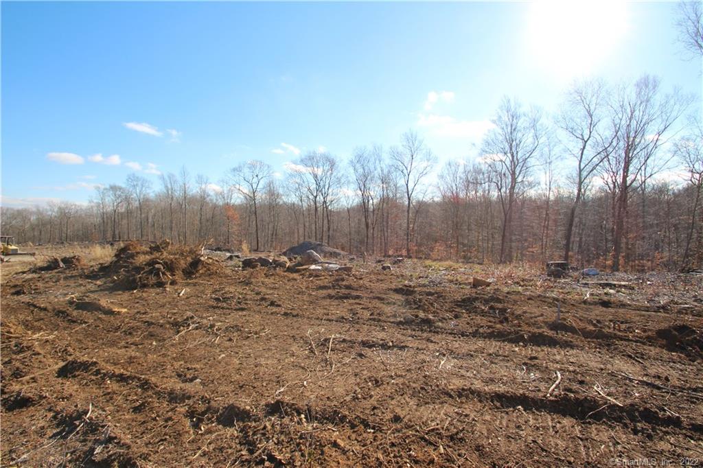 0 South Road, Unit 5 Bozrah, CT 06334 - Photo 1 of 1 a view of a large yard with lots of green space