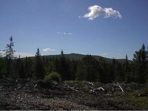 0 Cherry Tree Road North Concord, VT 05858 - Photo 1 of 1