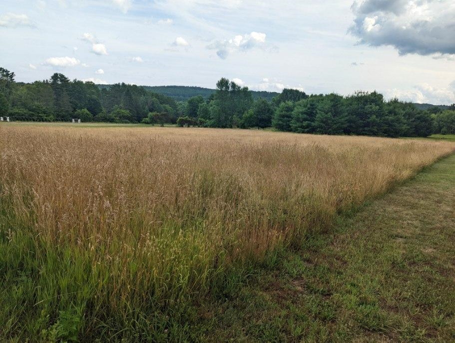 0 Westgate Road Plainfield, NH 03781 - Photo 2 of 10 Gallery Image 2