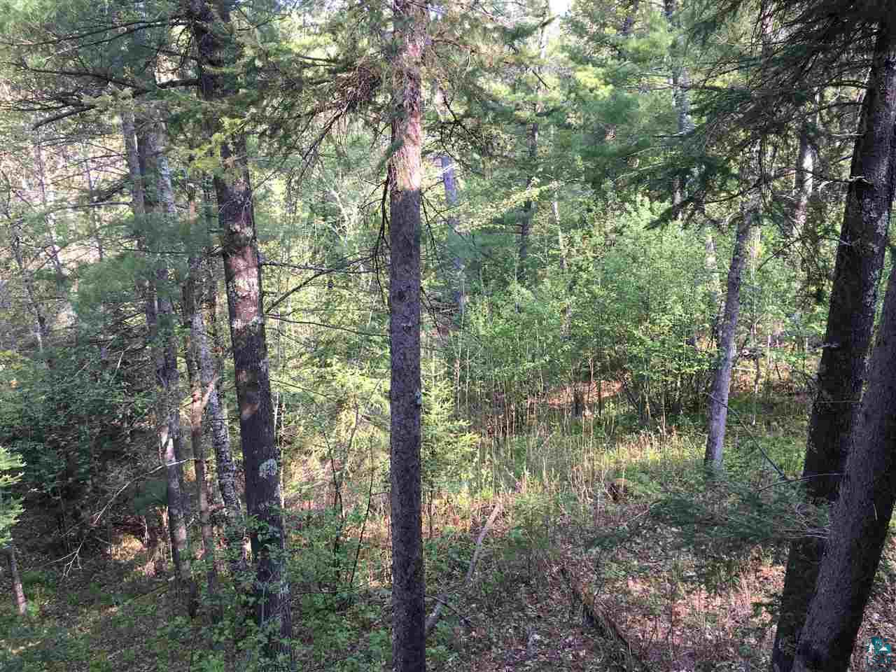 82865 Campbell Road Herbster, WI 54844 - Photo 14 of 31 Gallery Image 14