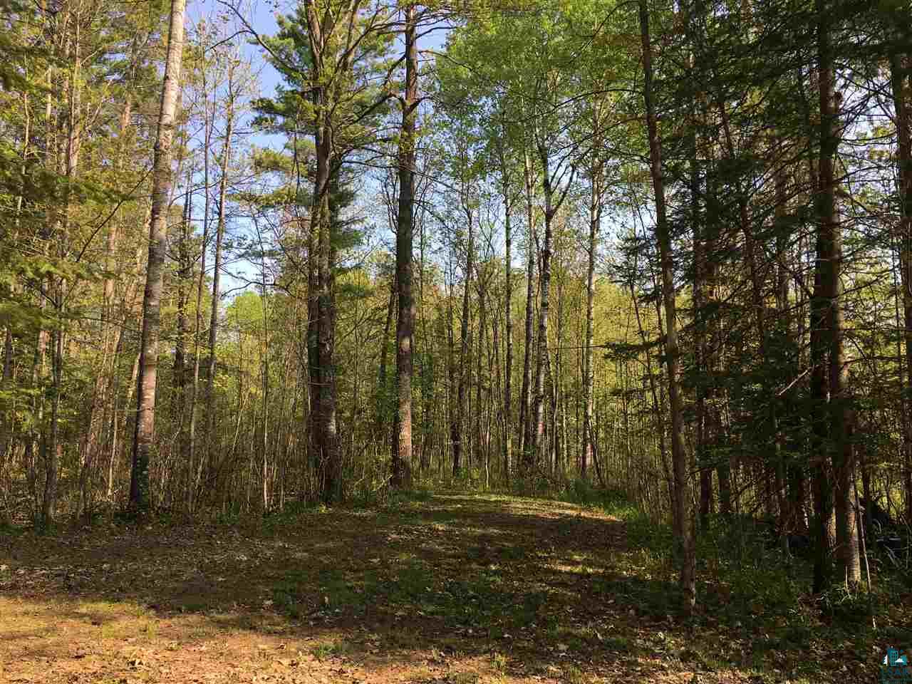 82865 Campbell Road Herbster, WI 54844 - Photo 19 of 31 Gallery Image 19