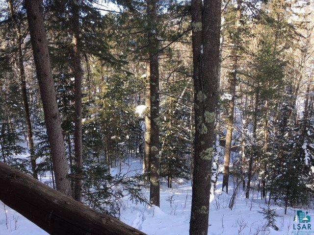 82865 Campbell Road Herbster, WI 54844 - Photo 28 of 31 Gallery Image 28
