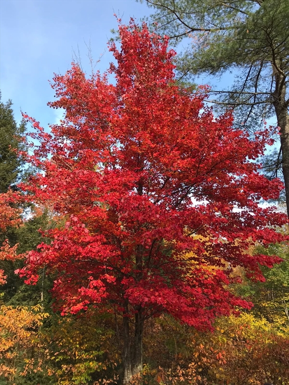 43 Greenville Road Townsend, MA 01474 - Photo 40 of 42