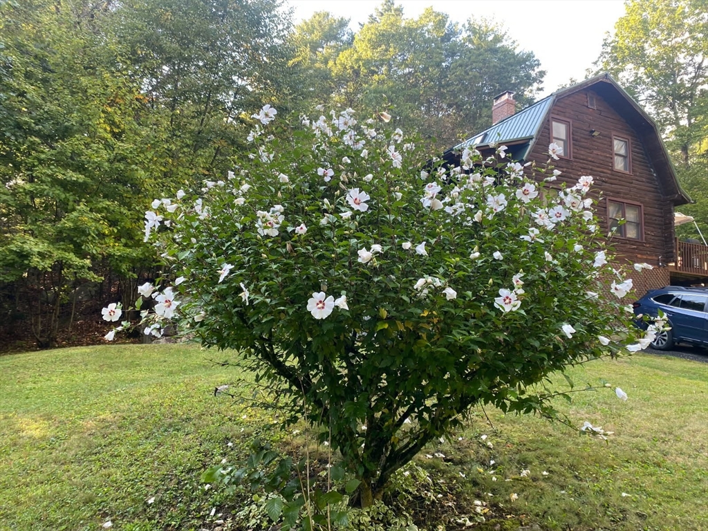 43 Greenville Road Townsend, MA 01474 - Photo 42 of 42