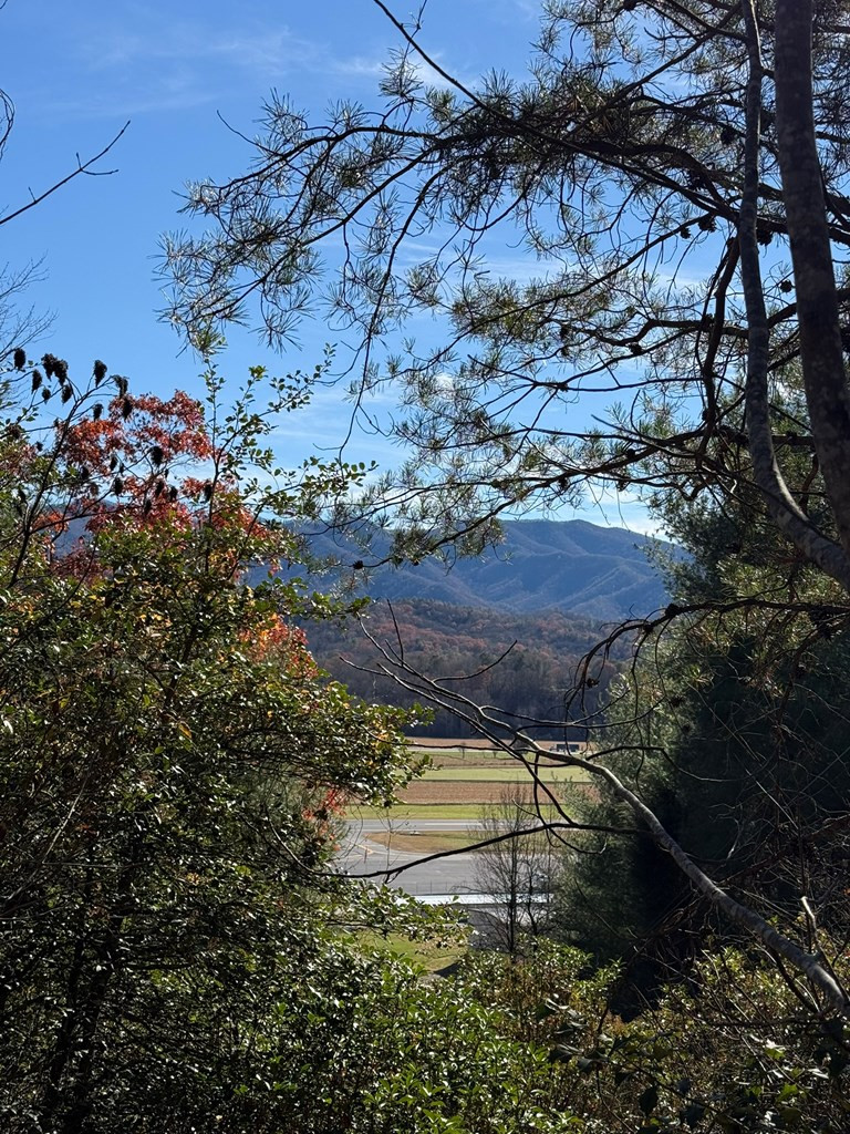 0 Airport Road Andrews, NC 28901 - Photo 3 of 12