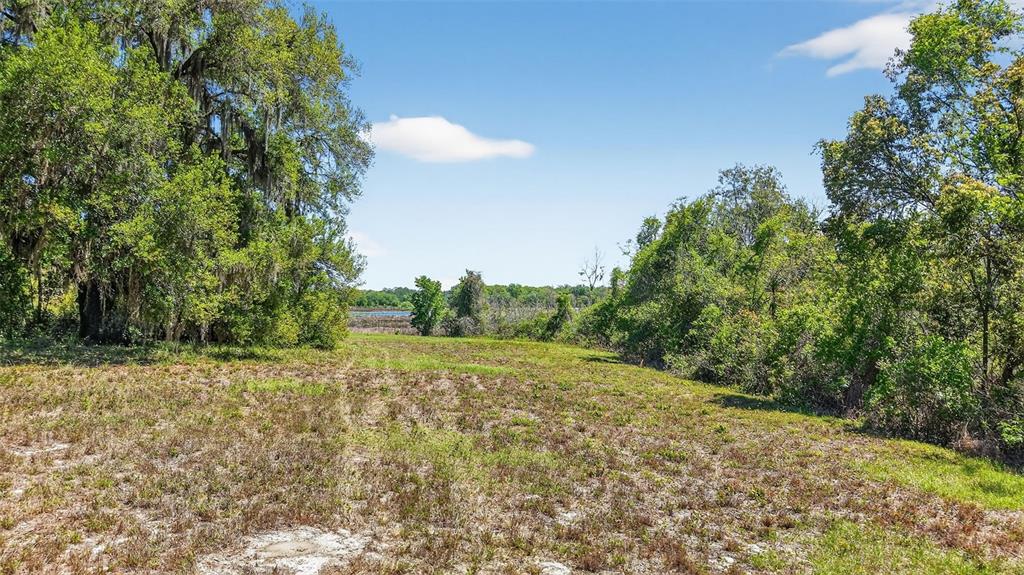 32510 Whitney Road Leesburg, FL 34748 - Photo 11 of 55