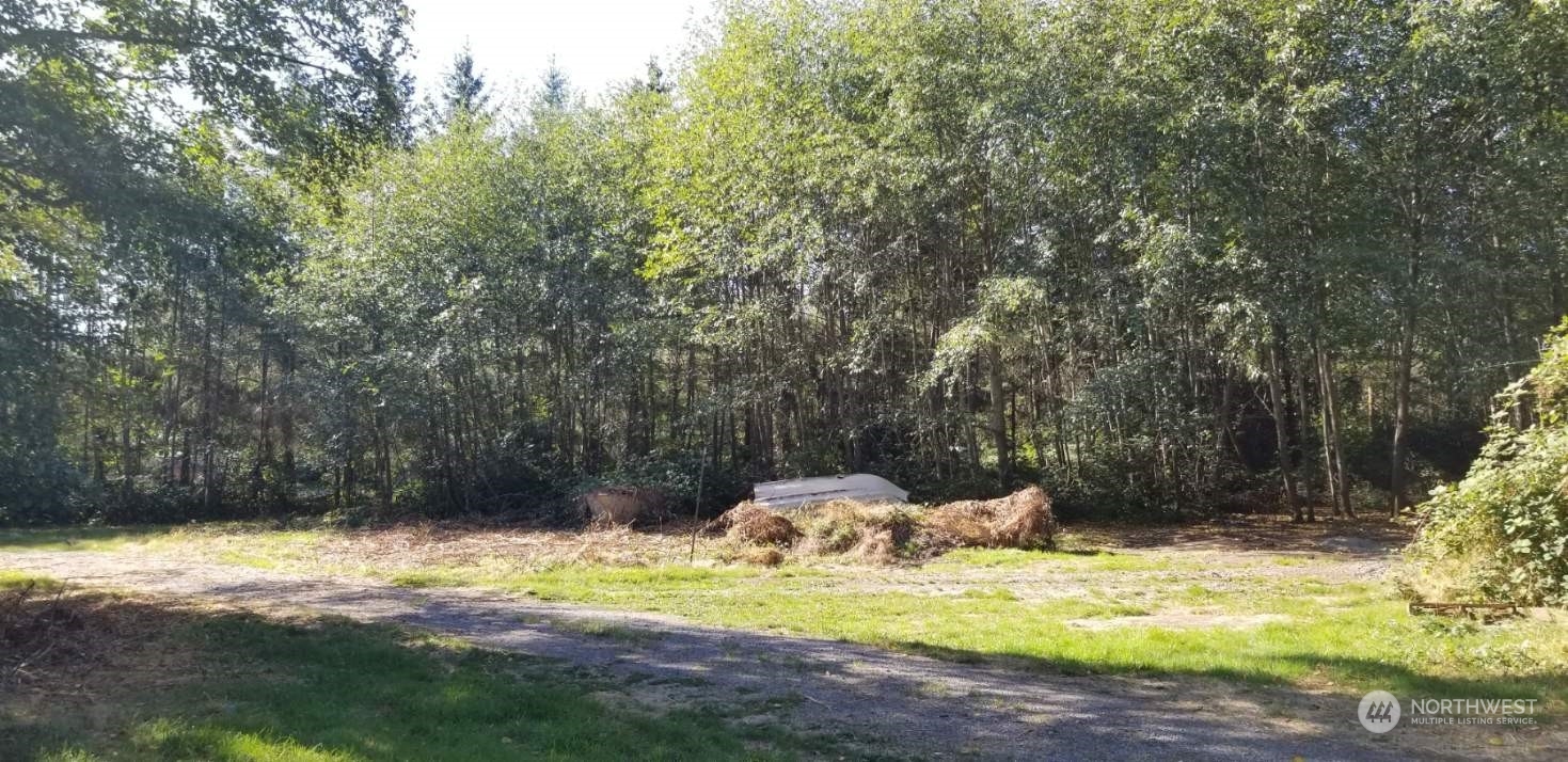 9502 Southwest Cemetery Road Vashon, WA 98070 - Photo 5 of 19 a view of a yard with large trees