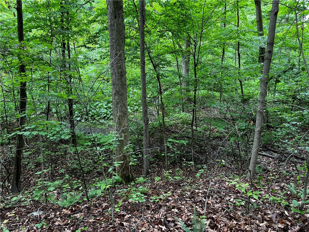West Under Ridge Road Conneaut, OH 44030 - Photo 26 of 29