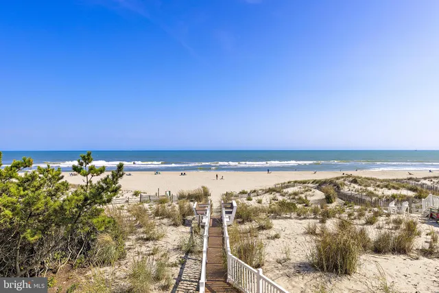 a view of city and ocean