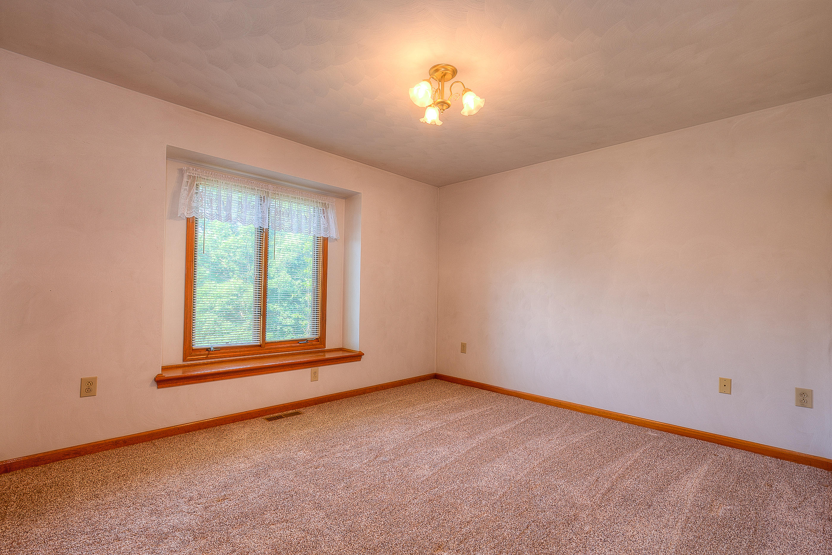 514 Scalybark Drive Blue Ridge, VA 24064 - Photo 7 of 25 IMG_7668_69_70