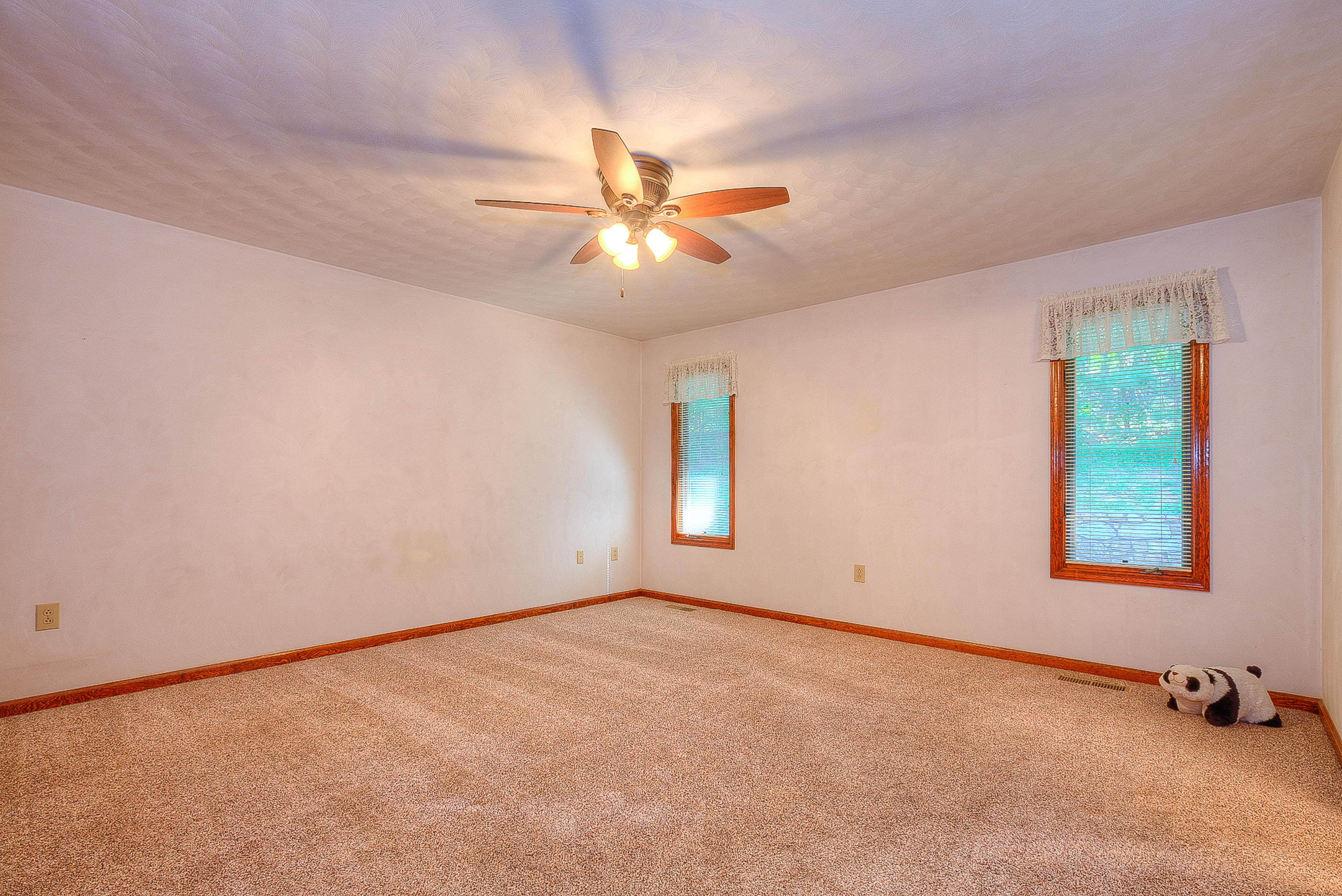 514 Scalybark Drive Blue Ridge, VA 24064 - Photo 8 of 25 IMG_7680_1_2