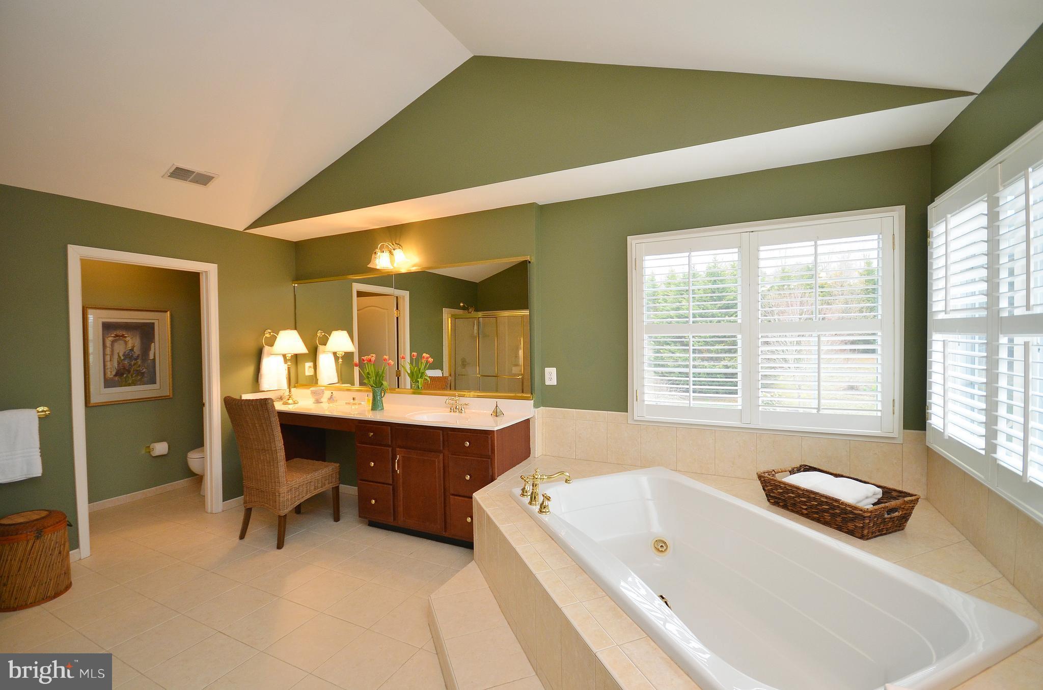 40414 Thomas Mill Road Leesburg, VA 20175 - Photo 21 of 30 Bath (Master)