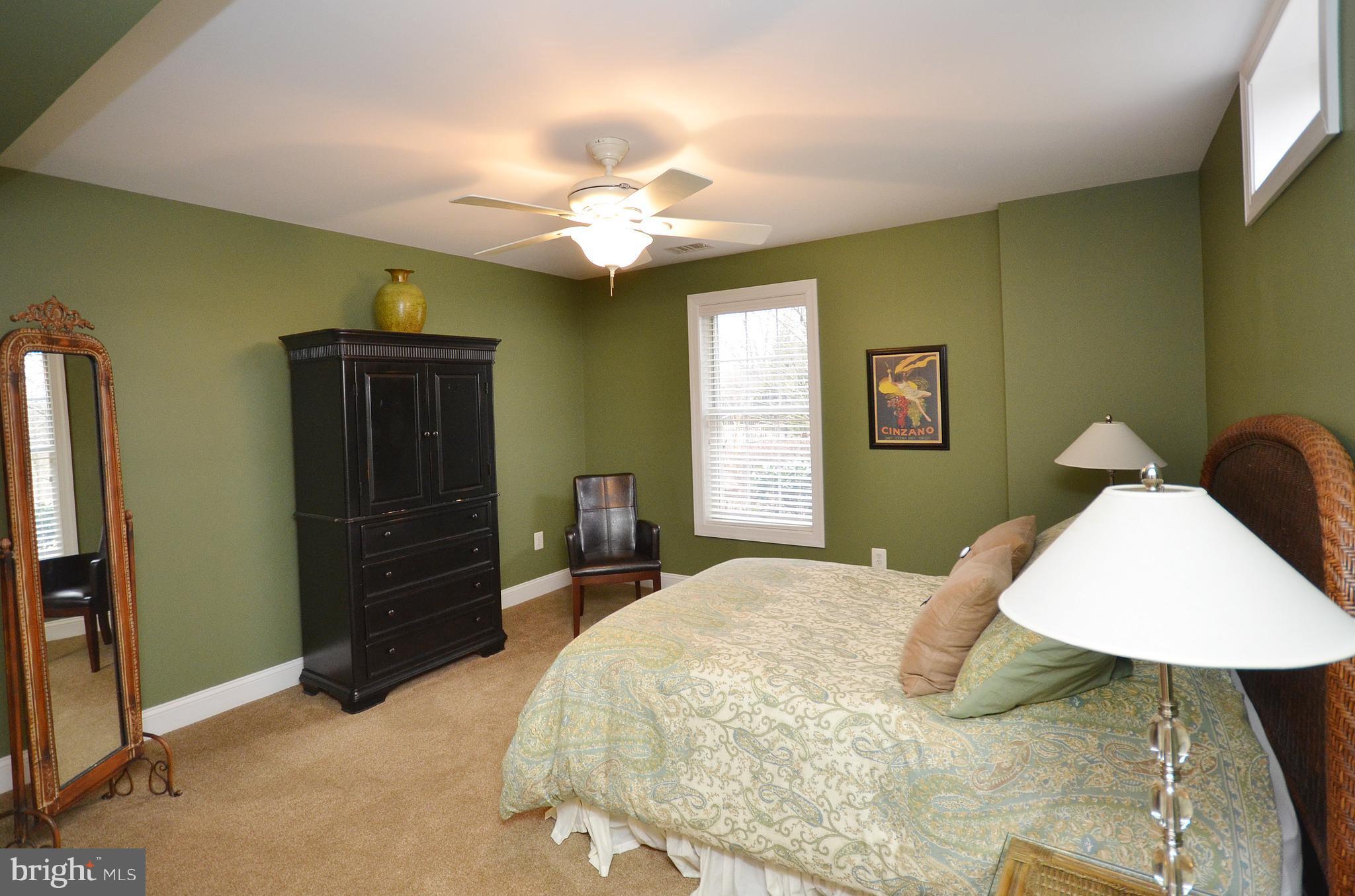 40414 Thomas Mill Road Leesburg, VA 20175 - Photo 26 of 30 Bedroom 5 - Basement