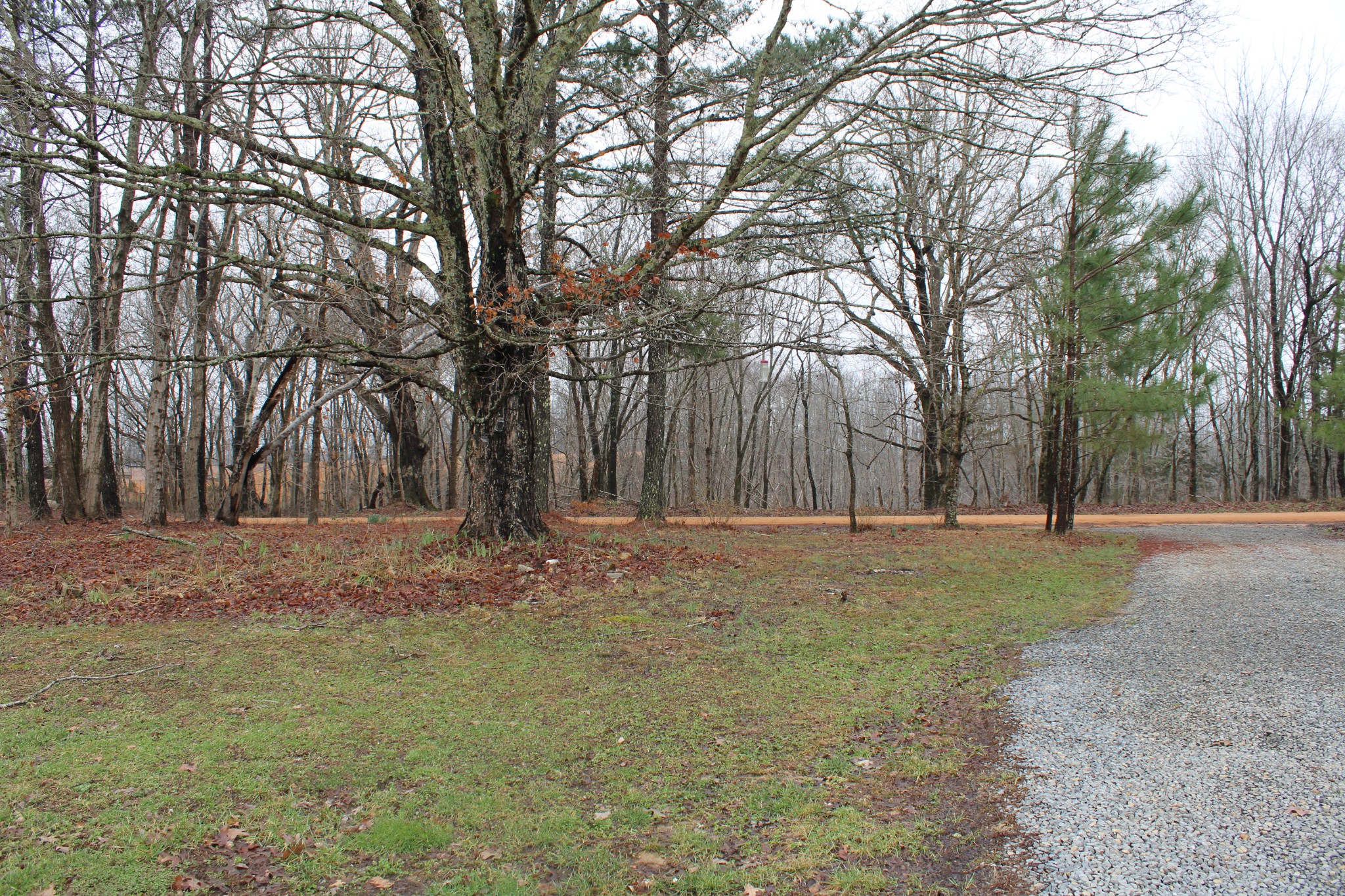 2146 Brushy Road Centerville, TN 37033 - Photo 4 of 27 Gallery Image 4