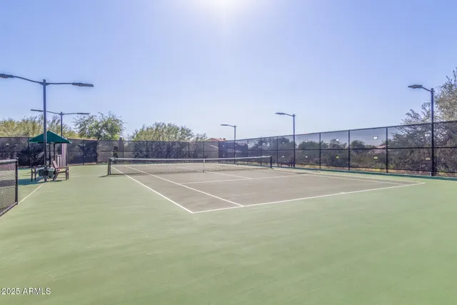 a view of dirt yard with a large tree