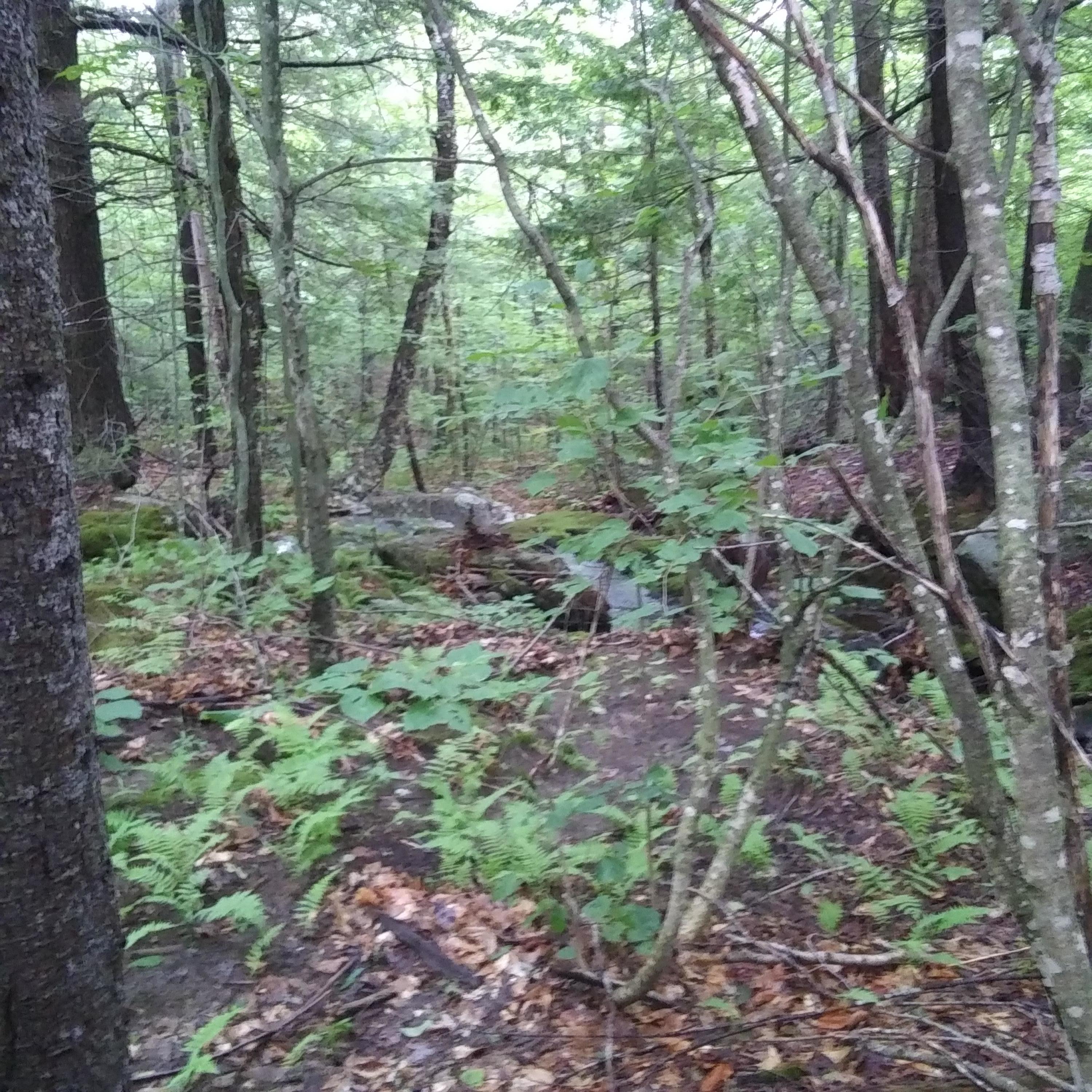 land 1