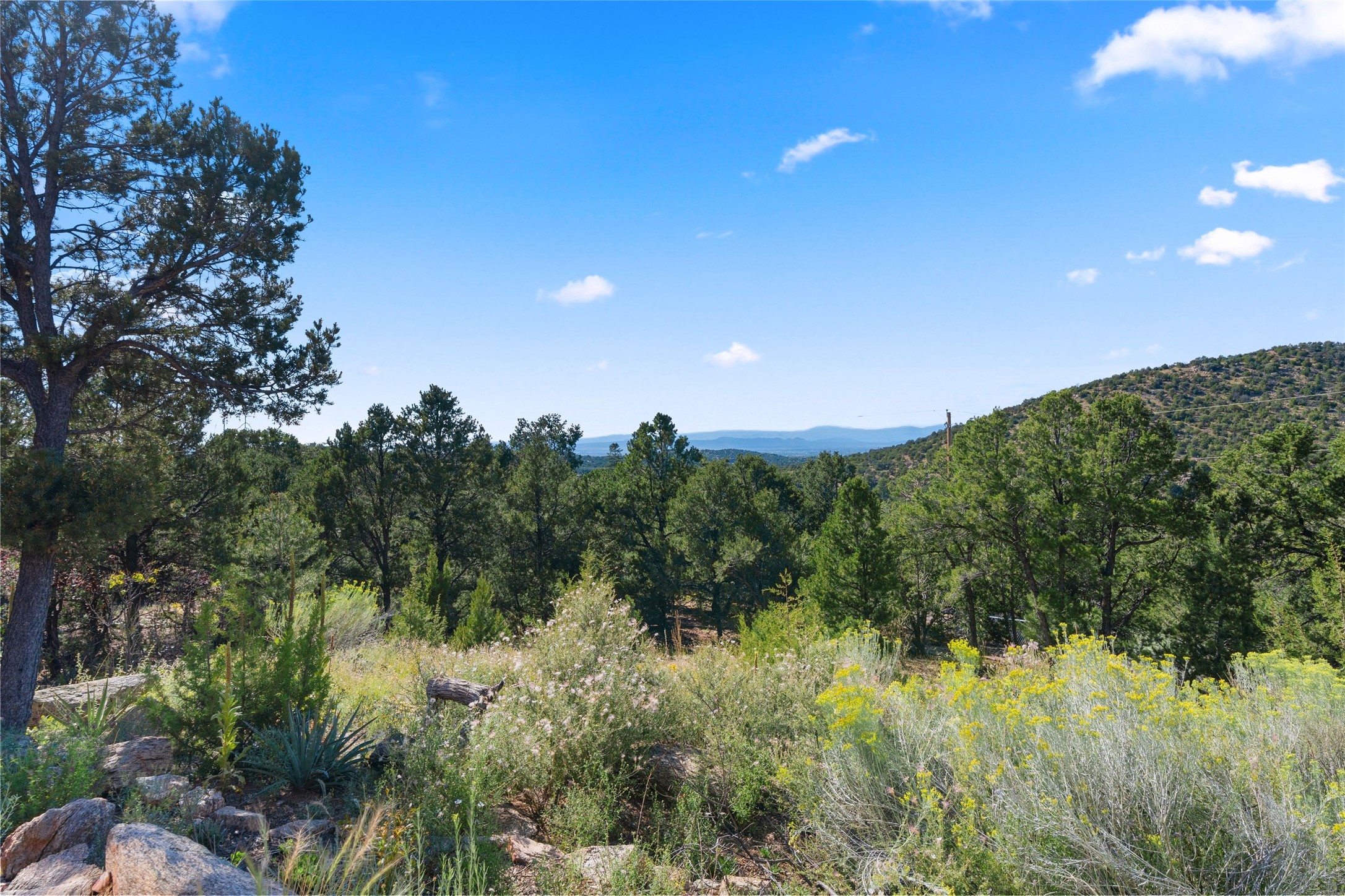 6 Overlook Road Santa Fe, NM 87505 - Photo 7 of 37
