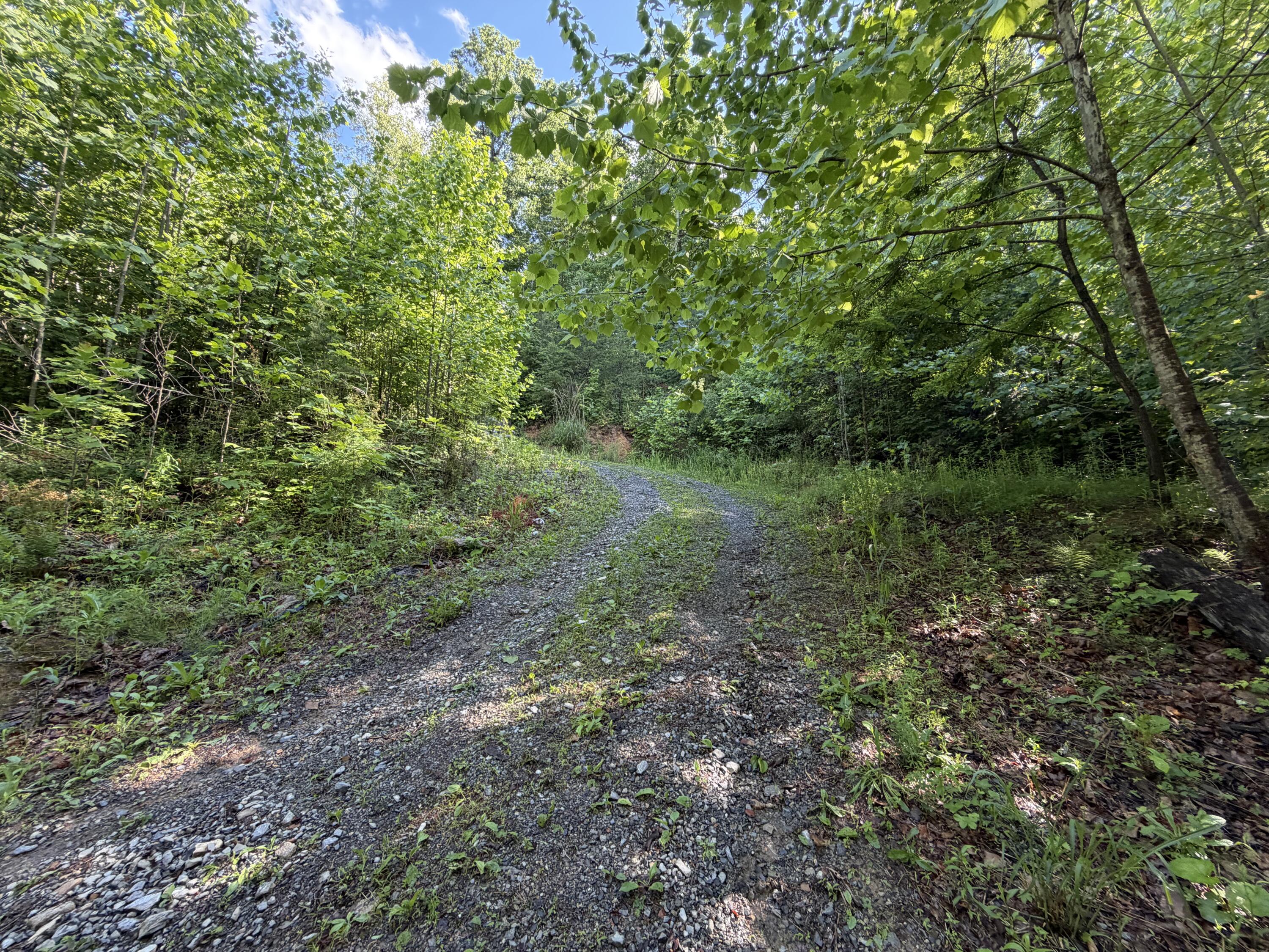 0 Lake Road Troutville, VA 24175 - Photo 3 of 18 a view of a large yard with lots of green space