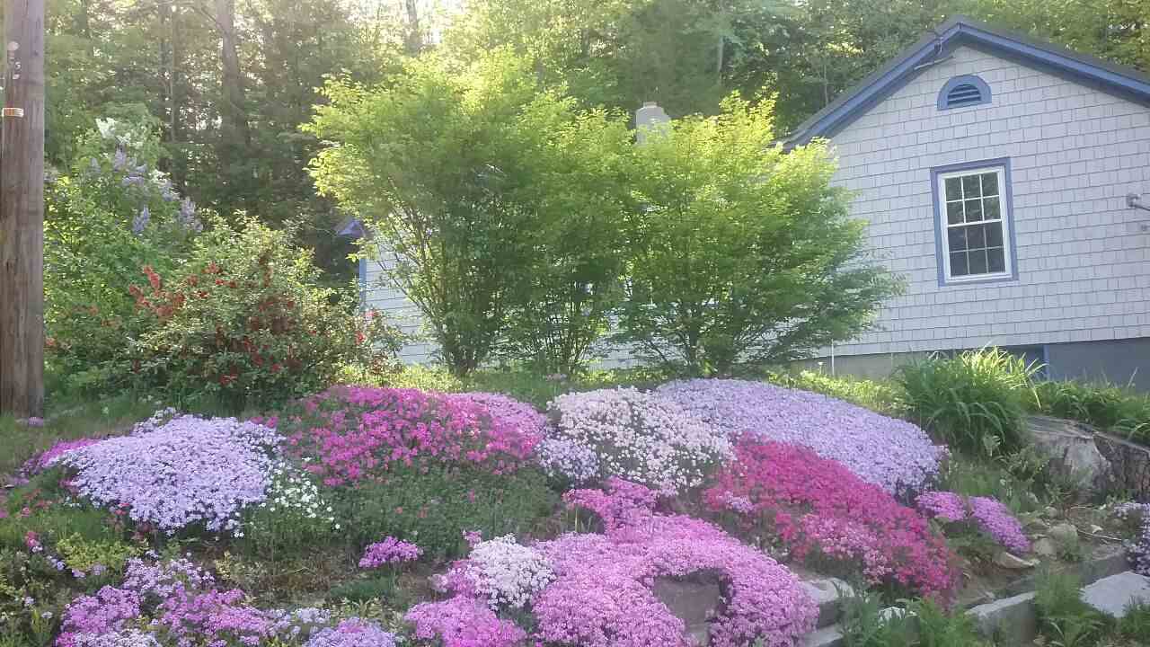 411 Chesterfield Road Keene, NH 03431 - Photo 13 of 13