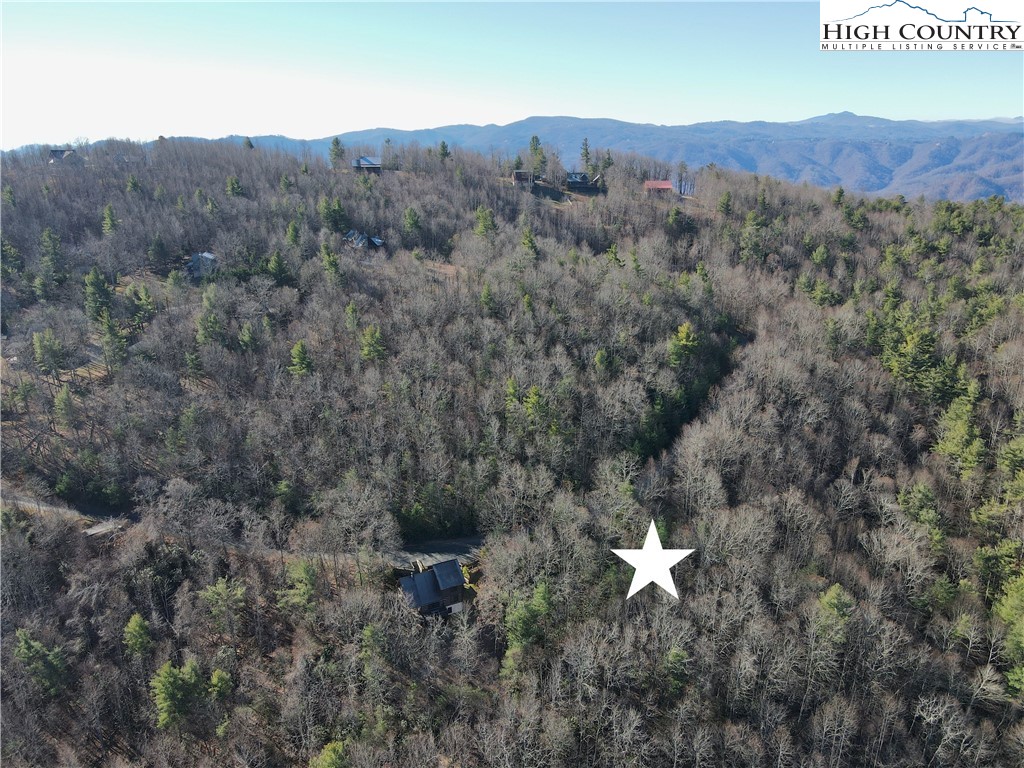 Moon Beam Lane Deep Gap, NC 28618 - Photo 11 of 11 a view of a dry top in a field