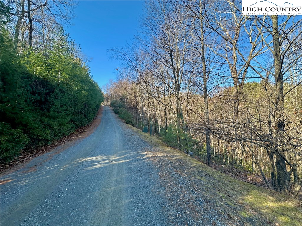 Moon Beam Lane Deep Gap, NC 28618 - Photo 9 of 11 a view of a yard with plants and trees