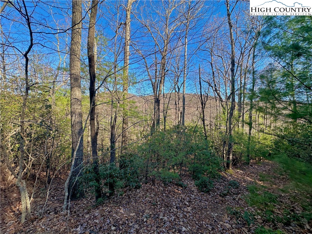 Moon Beam Lane Deep Gap, NC 28618 - Photo 10 of 11 a backyard of a house with lots of green space