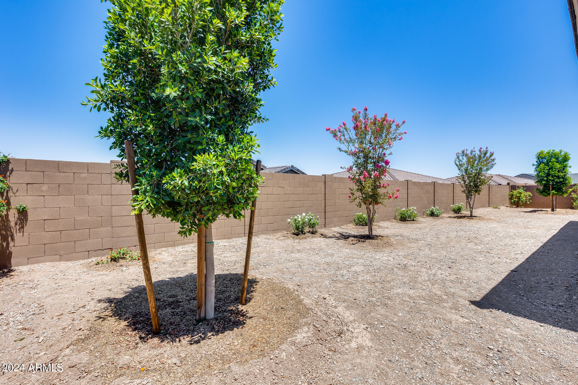 3920 West Summerside Road Laveen, AZ 85339 - Photo 22 of 23 Backyard
