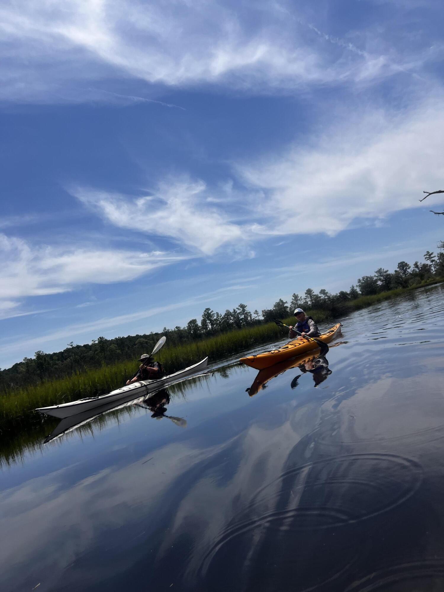 2722 Burden Creek Road Johns Island, SC 29455 - Photo 48 of 56 image1 (2)