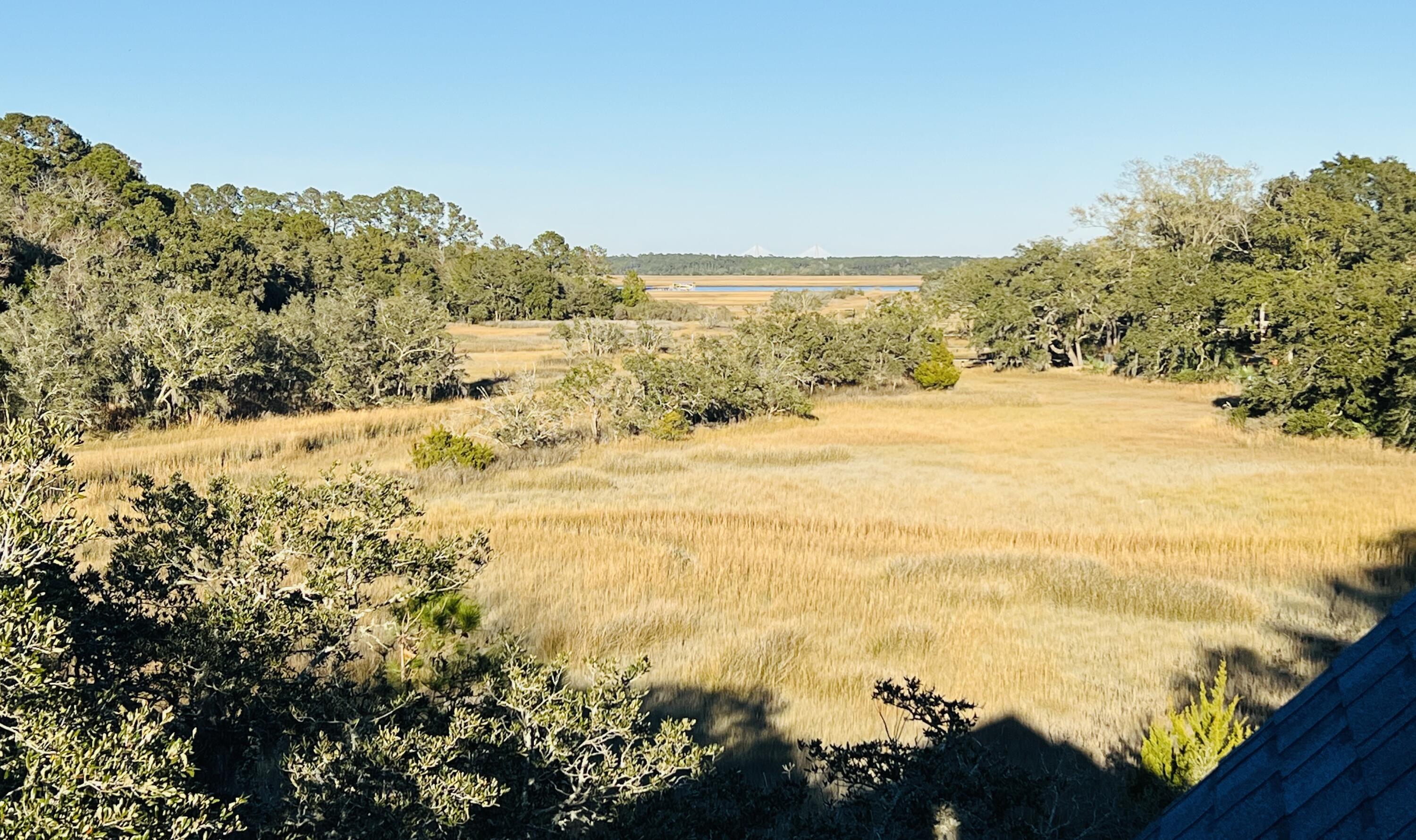 2722 Burden Creek Road Johns Island, SC 29455 - Photo 6 of 56 image0