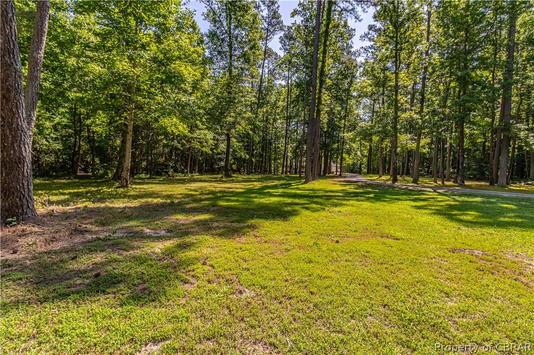 471 Woodbrook Road Lancaster, VA 22503 - Photo 44 of 47 Front Yard.