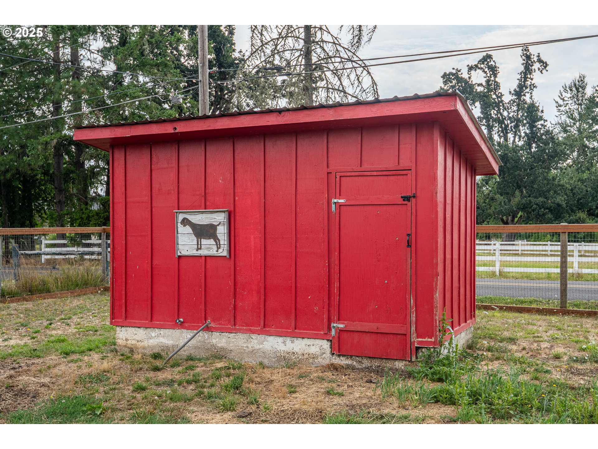 90948 Sunderman Road Springfield, OR 97478 - Photo 36 of 44 a view of barn with red door