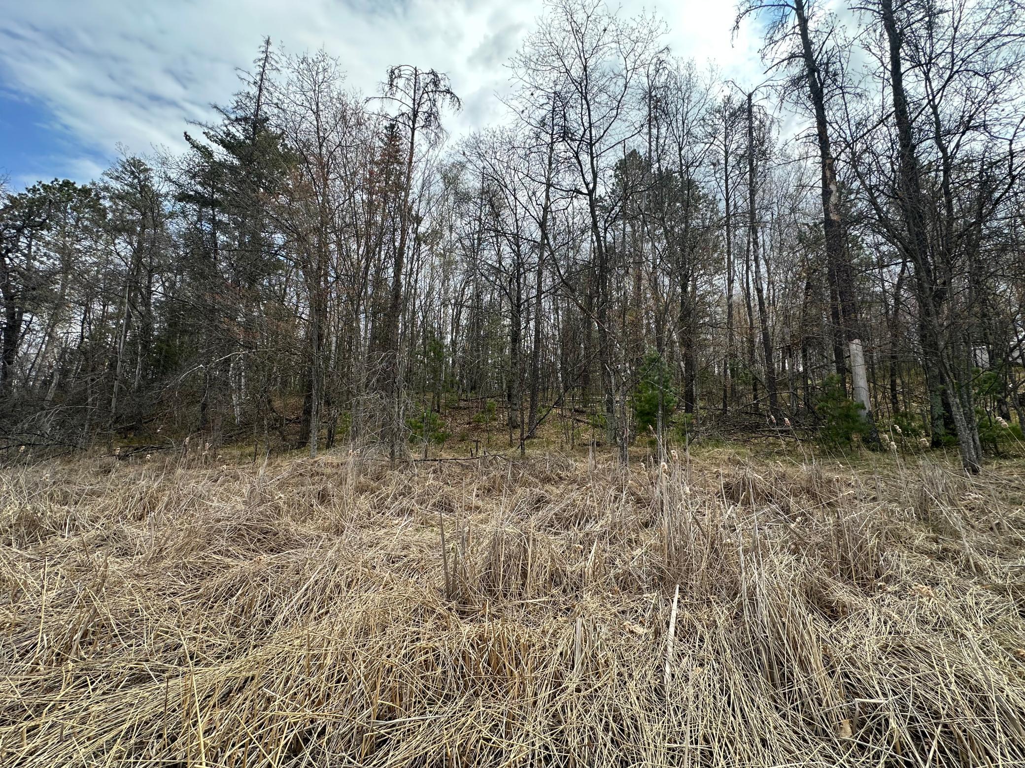 Tbd Dobosenski Road Sturgeon Lake, MN 55783 - Photo 4 of 22