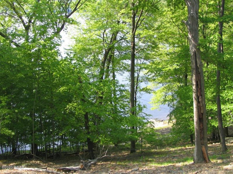20 C Boat House Road Lake Ariel, PA 18436 - Photo 2 of 27