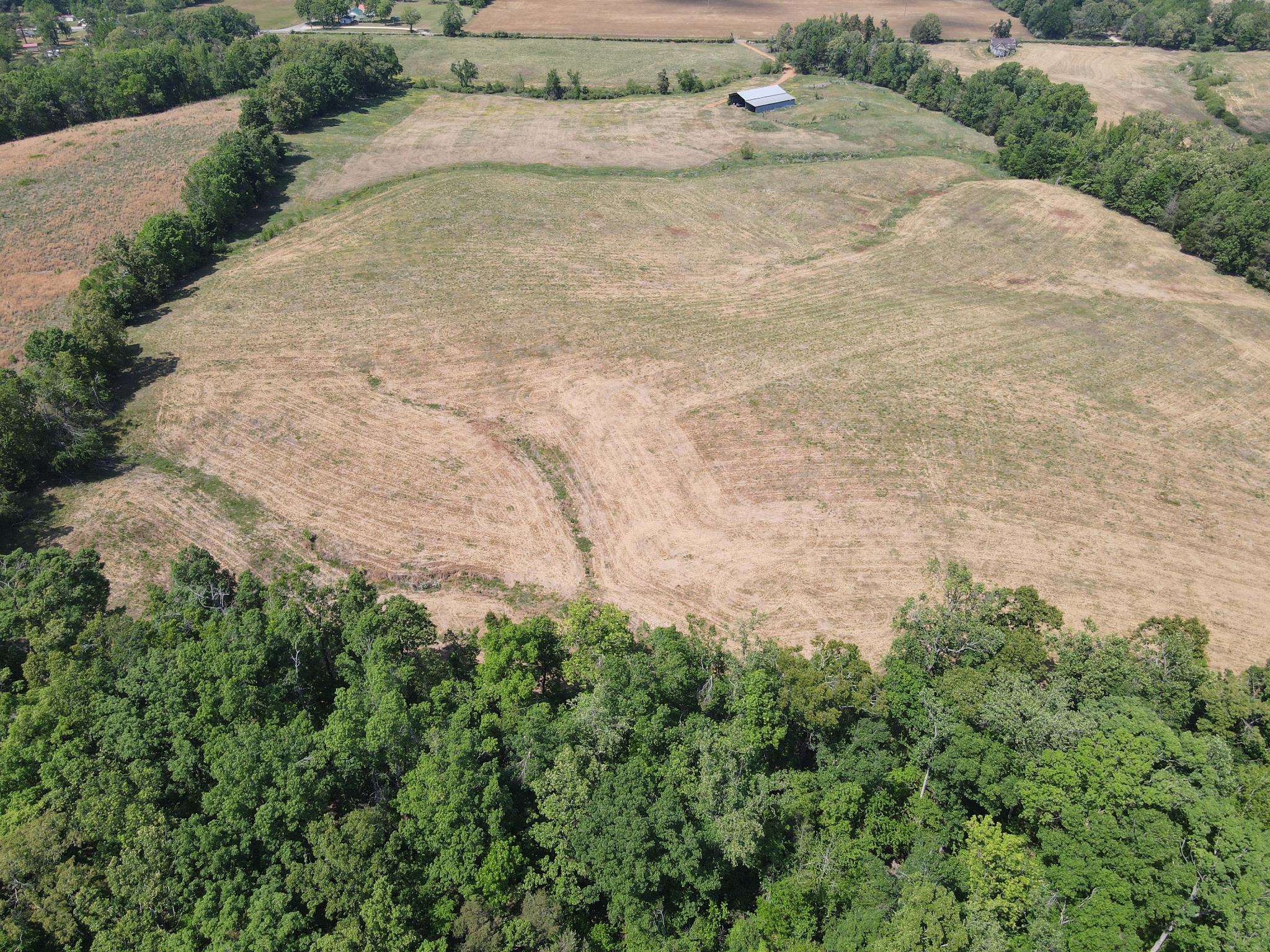 1 Saltillo Road Morris Chapel, TN 38361 - Photo 18 of 40 a view of a dry yard with trees